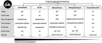Prairie Strips and Lower Land Use Intensity Increase Biodiversity and Ecosystem Services